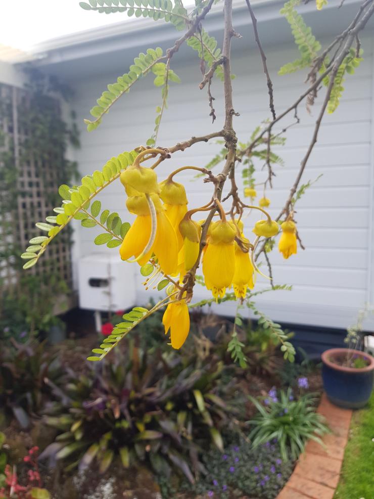 Seasonal Reflections: Spring