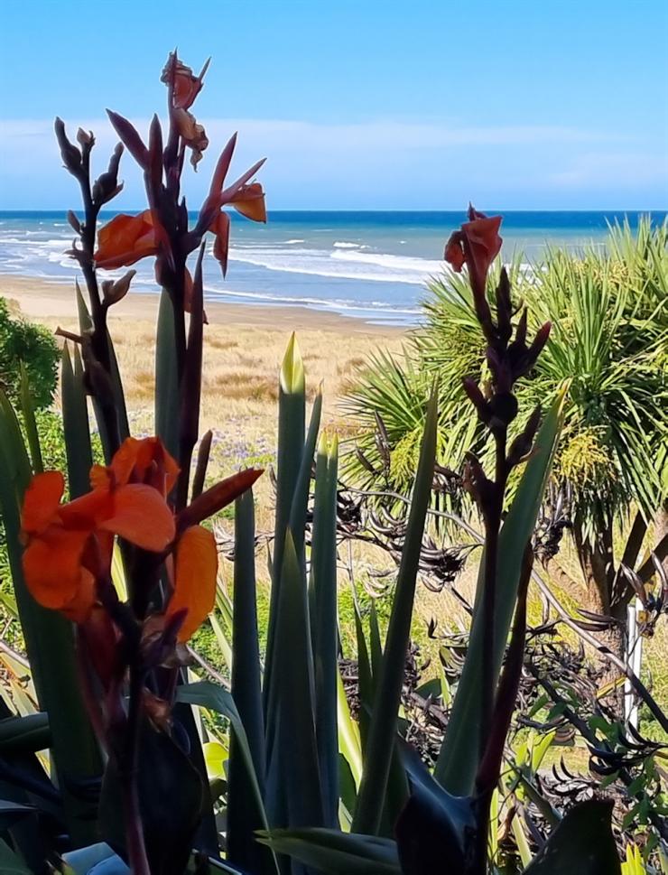 Demystifying Dreams: The Science Behind Dreaming and Dream Analysis